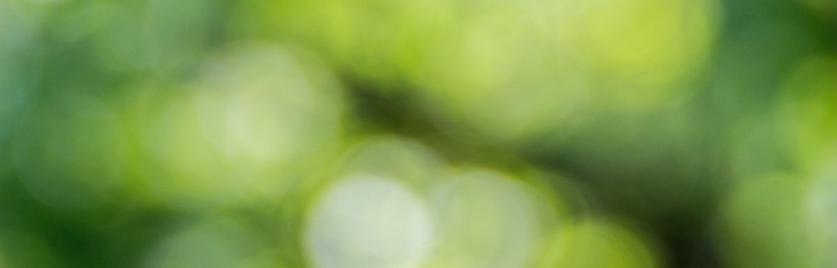 blurry green dots on black background