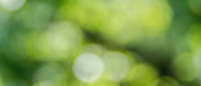 blurry green dots on black background
